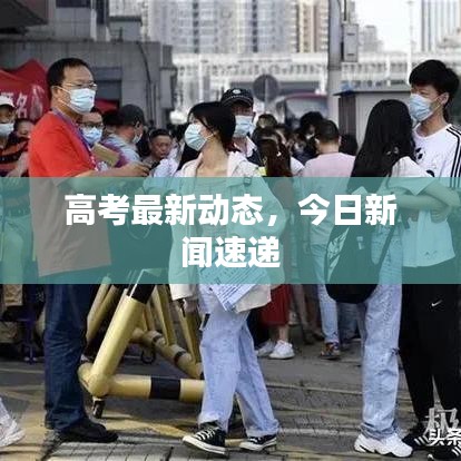 高考最新动态，今日新闻速递