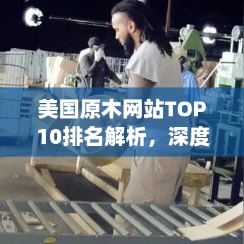 美国原木网站TOP10排名解析，深度对比与独特视角探究