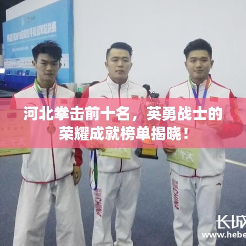 河北拳击前十名，英勇战士的荣耀成就榜单揭晓！