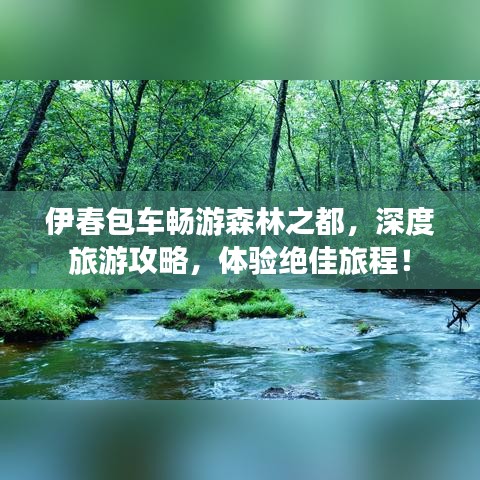伊春包车畅游森林之都，深度旅游攻略，体验绝佳旅程！