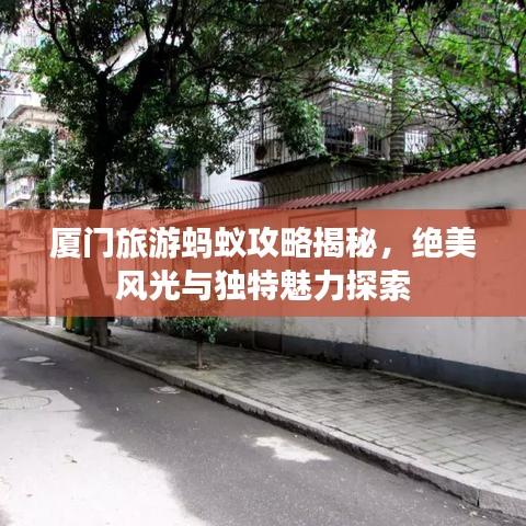 厦门旅游蚂蚁攻略揭秘，绝美风光与独特魅力探索