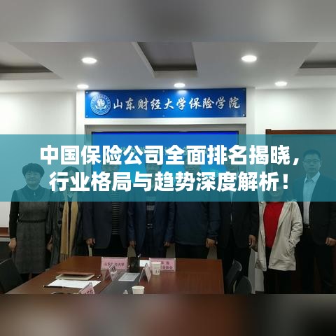 中国保险公司全面排名揭晓，行业格局与趋势深度解析！
