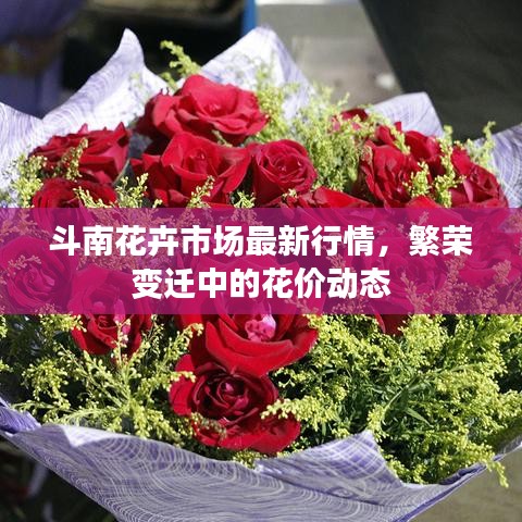 斗南花卉市场最新行情，繁荣变迁中的花价动态