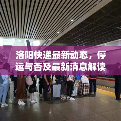 洛阳快递最新动态，停运与否及最新消息解读