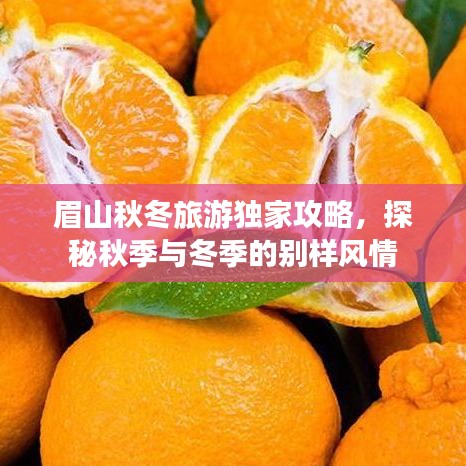 眉山秋冬旅游独家攻略，探秘秋季与冬季的别样风情