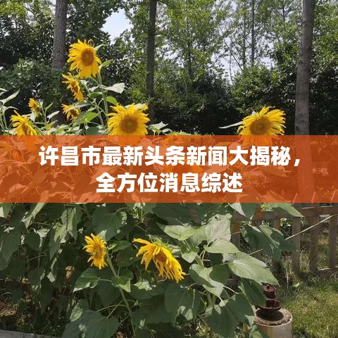 许昌市最新头条新闻大揭秘，全方位消息综述