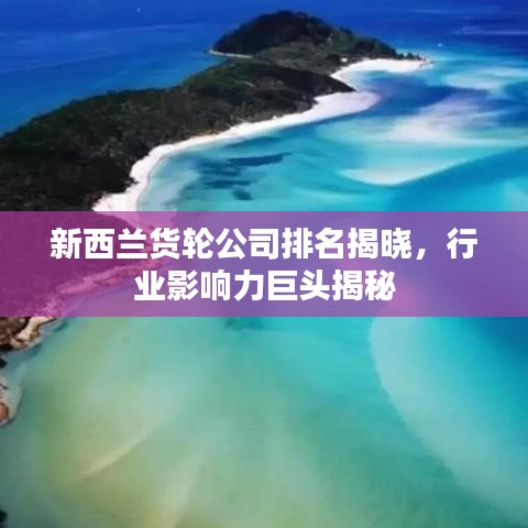 新西兰货轮公司排名揭晓，行业影响力巨头揭秘