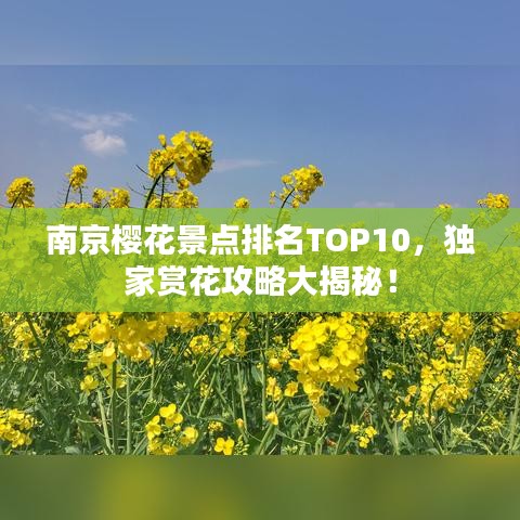 南京樱花景点排名TOP10，独家赏花攻略大揭秘！