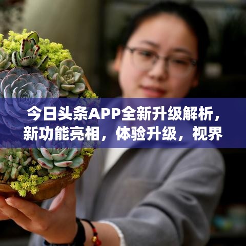 今日头条APP全新升级解析，新功能亮相，体验升级，视界大开！