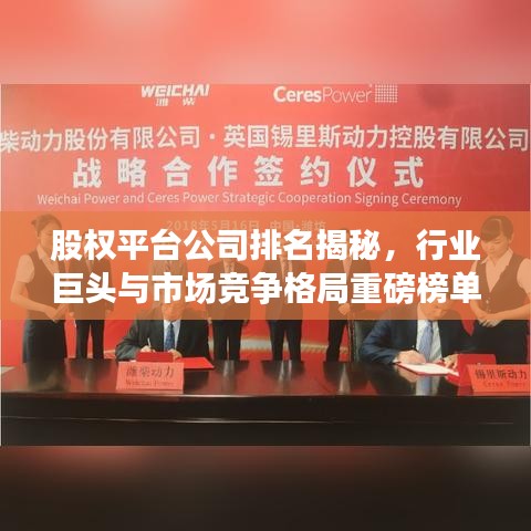 股权平台公司排名揭秘，行业巨头与市场竞争格局重磅榜单！