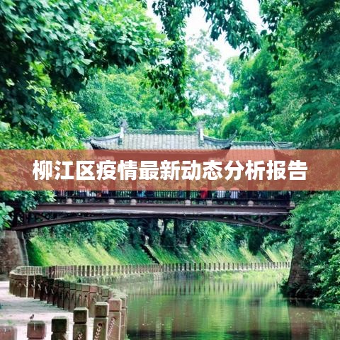 柳江区疫情最新动态分析报告