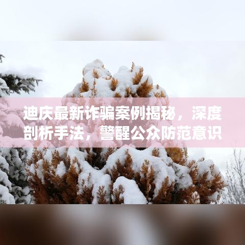 迪庆最新诈骗案例揭秘，深度剖析手法，警醒公众防范意识视频