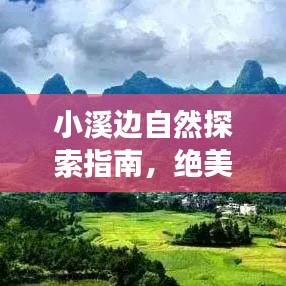 小溪边自然探索指南，绝美旅游攻略，体验自然魅力的绝佳去处