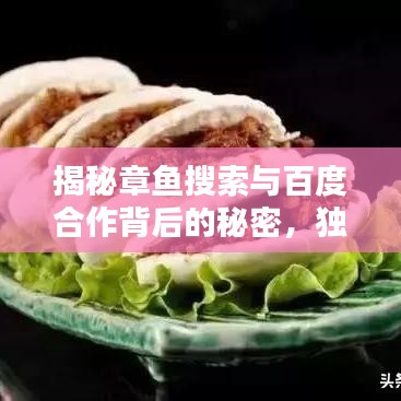 揭秘章鱼搜索与百度合作背后的秘密，独特魅力究竟何在？