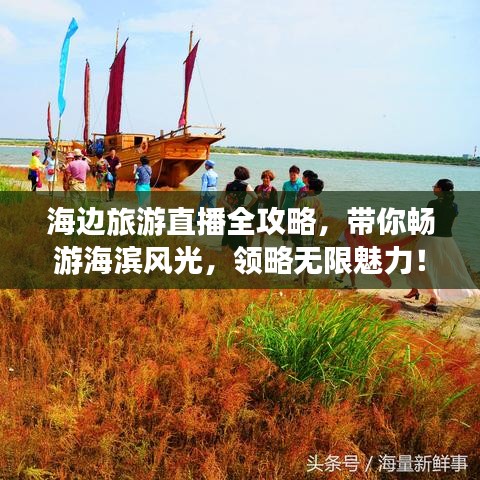 海边旅游直播全攻略，带你畅游海滨风光，领略无限魅力！