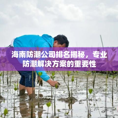 海南防潮公司排名揭秘，专业防潮解决方案的重要性