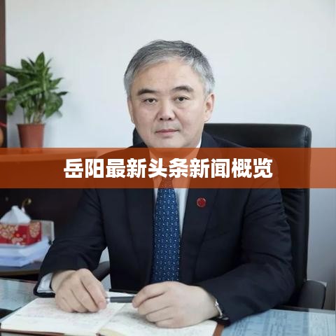 岳阳最新头条新闻概览