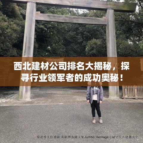 西北建材公司排名大揭秘，探寻行业领军者的成功奥秘！