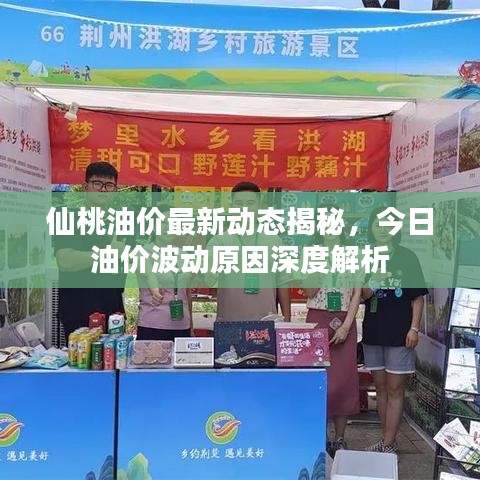 仙桃油价最新动态揭秘，今日油价波动原因深度解析