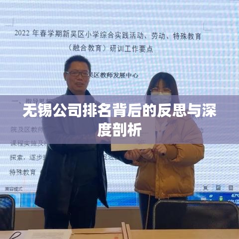 无锡公司排名背后的反思与深度剖析