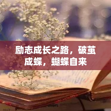 励志成长之路，破茧成蝶，蝴蝶自来