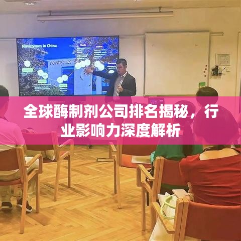 全球酶制剂公司排名揭秘，行业影响力深度解析