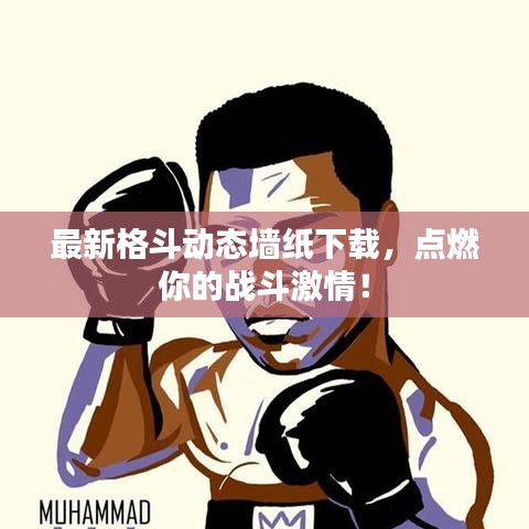 最新格斗动态墙纸下载，点燃你的战斗激情！