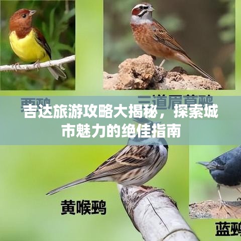吉达旅游攻略大揭秘，探索城市魅力的绝佳指南