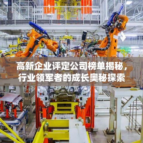 高新企业评定公司榜单揭秘，行业领军者的成长奥秘探索