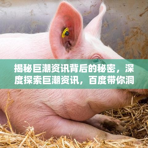 揭秘巨潮资讯背后的秘密，深度探索巨潮资讯，百度带你洞悉资讯大势