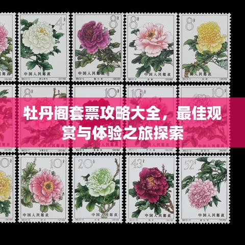 牡丹阁套票攻略大全，最佳观赏与体验之旅探索