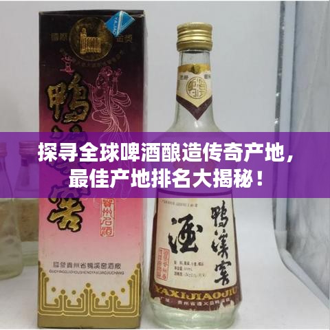 探寻全球啤酒酿造传奇产地，最佳产地排名大揭秘！
