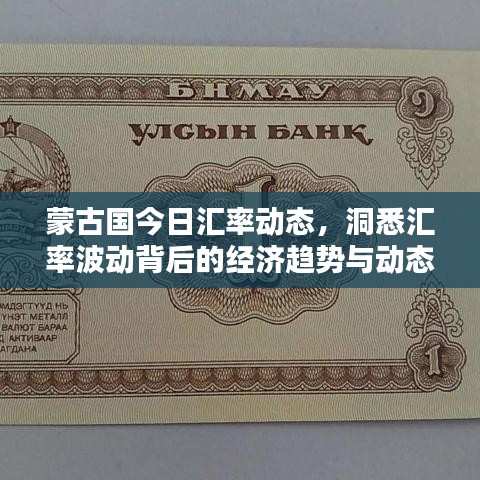 蒙古国今日汇率动态，洞悉汇率波动背后的经济趋势与动态