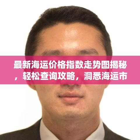 最新海运价格指数走势图揭秘，轻松查询攻略，洞悉海运市场动态！