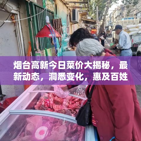 烟台高新今日菜价大揭秘，最新动态，洞悉变化，惠及百姓生活
