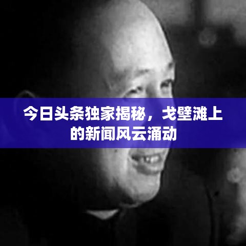 今日头条独家揭秘，戈壁滩上的新闻风云涌动