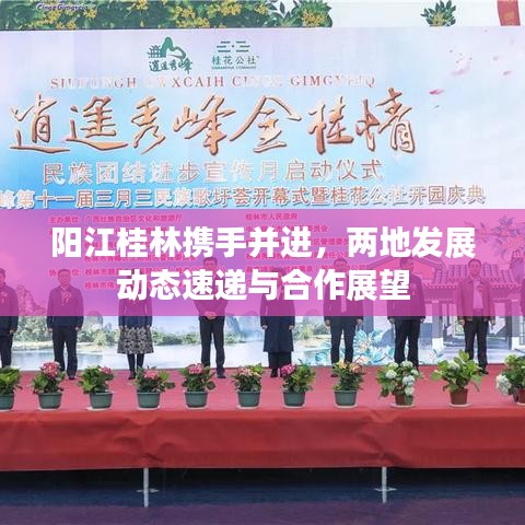 阳江桂林携手并进，两地发展动态速递与合作展望