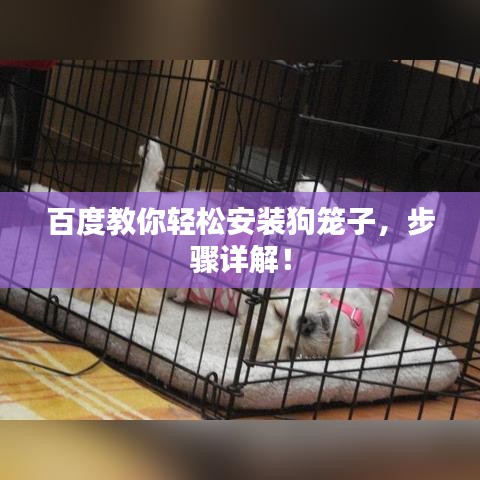 百度教你轻松安装狗笼子，步骤详解！