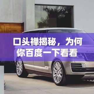 口头禅揭秘，为何你百度一下看看如此受欢迎？一起探讨其魅力所在