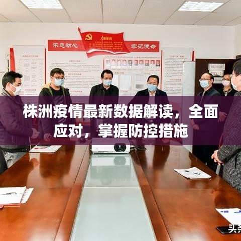 株洲疫情最新数据解读，全面应对，掌握防控措施