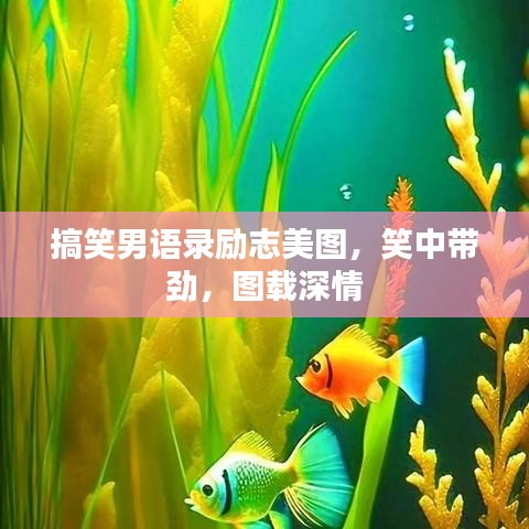 搞笑男语录励志美图，笑中带劲，图载深情