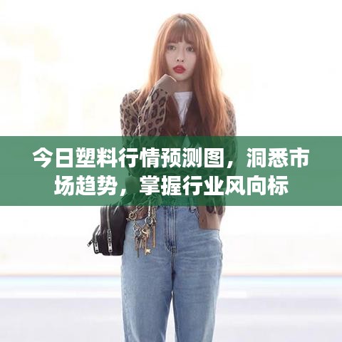 今日塑料行情预测图，洞悉市场趋势，掌握行业风向标
