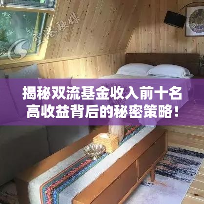 揭秘双流基金收入前十名高收益背后的秘密策略！