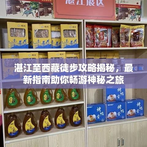 湛江至西藏徒步攻略揭秘，最新指南助你畅游神秘之旅