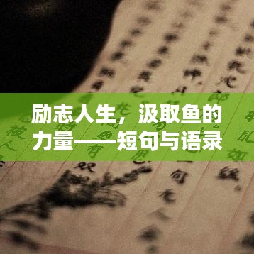 励志人生，汲取鱼的力量——短句与语录启示心灵之路
