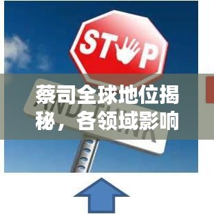 蔡司全球地位揭秘，各领域影响力与排名深度探究
