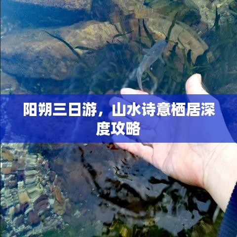 阳朔三日游，山水诗意栖居深度攻略