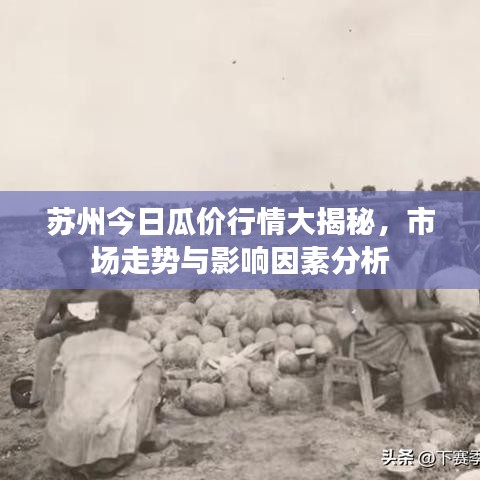 苏州今日瓜价行情大揭秘，市场走势与影响因素分析