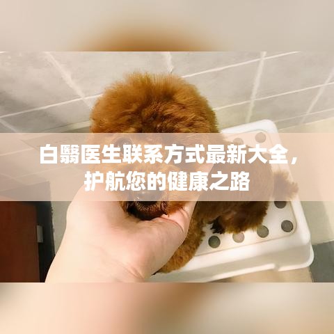 白翳医生联系方式最新大全，护航您的健康之路