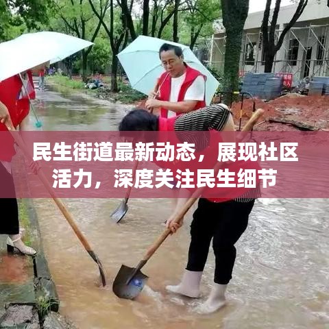 民生街道最新动态，展现社区活力，深度关注民生细节